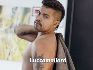 Luccamallard