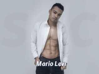 Mario_Levi