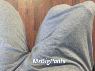 MrBigPants