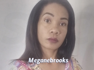 Meganebrooks