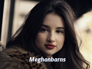 Meghanbarns