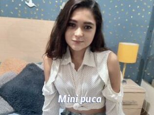 Mini_puca