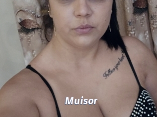 Muisor