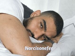 Narcisonefer