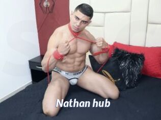 Nathan_hub