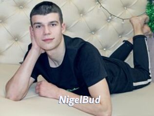 NigelBud