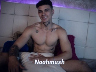 Noahmush