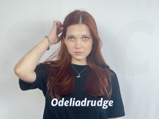 Odeliadrudge