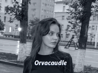 Orvacaudle