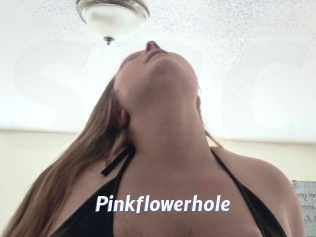 Pinkflowerhole