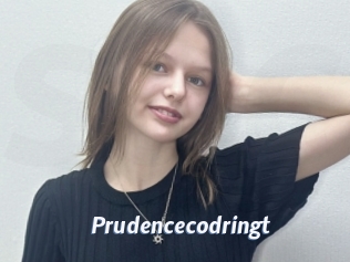 Prudencecodringt