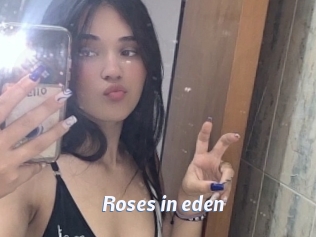 Roses_in_eden
