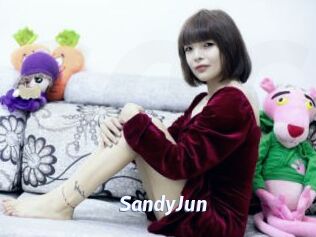 SandyJun