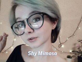 Shy_Mimosa