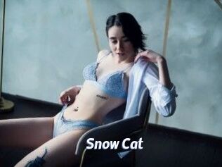 Snow_Cat