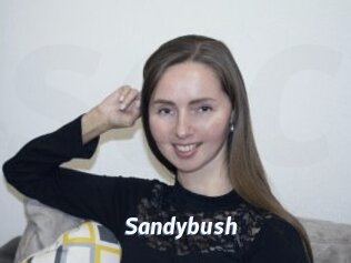 Sandybush