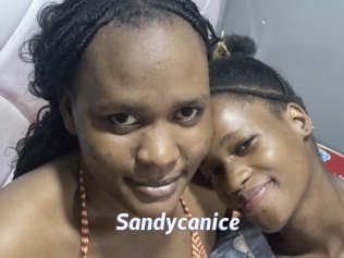 Sandycanice