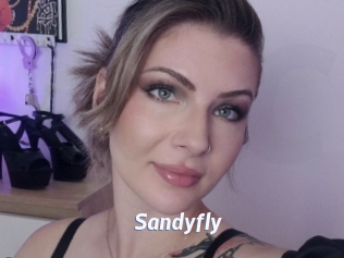 Sandyfly