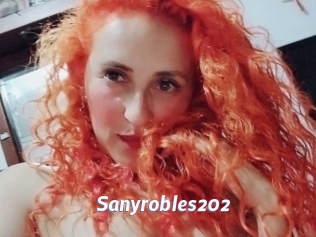 Sanyrobles202