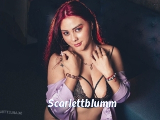 Scarlettblumm