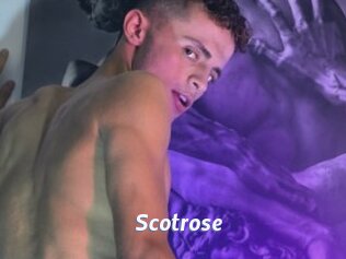 Scotrose