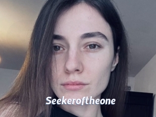 Seekeroftheone