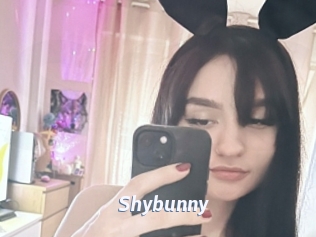 Shybunny