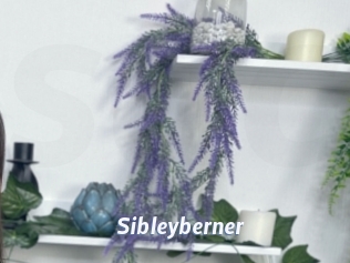 Sibleyberner