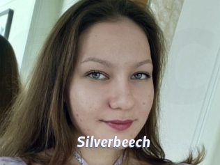 Silverbeech