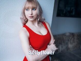 Sollyflower