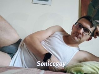 Sonicegay