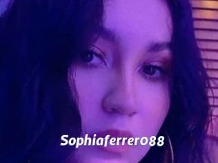 Sophiaferrer088