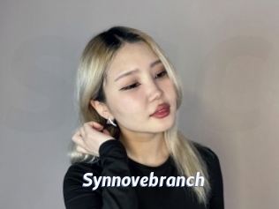 Synnovebranch