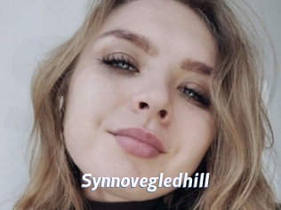 Synnovegledhill