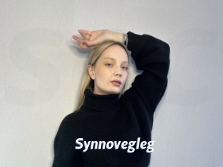 Synnovegleg