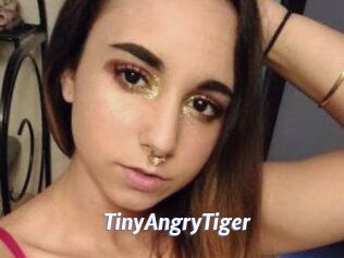 TinyAngryTiger