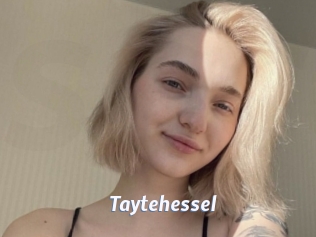 Taytehessel