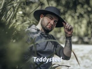 Teddysteel