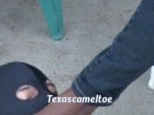 Texascameltoe