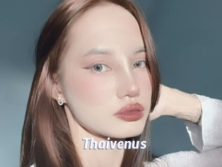 Thaivenus