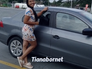 Tianabornet