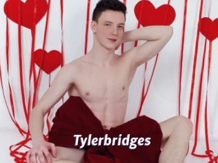 Tylerbridges