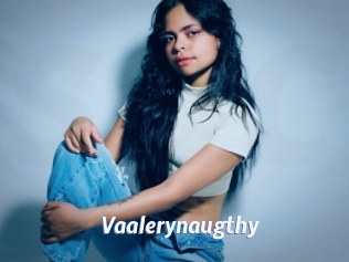 Vaalerynaugthy