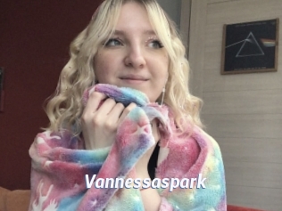 Vannessaspark