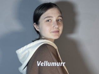 Vellumurr