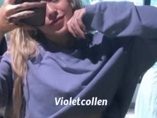 Violetcollen