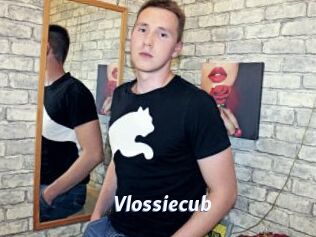 Vlossiecub
