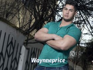 Waynneprice