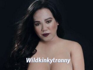 Wildkinkytranny