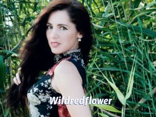 Wildredflower